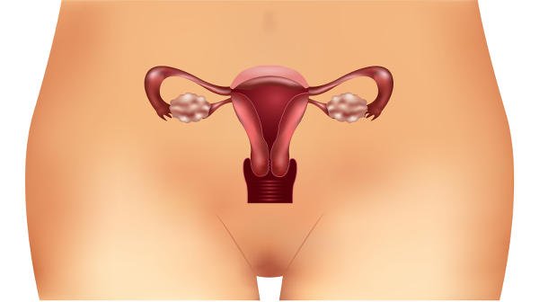 El ovario poliquistico puede ser una causa de la activacion de los foliculos pilosos