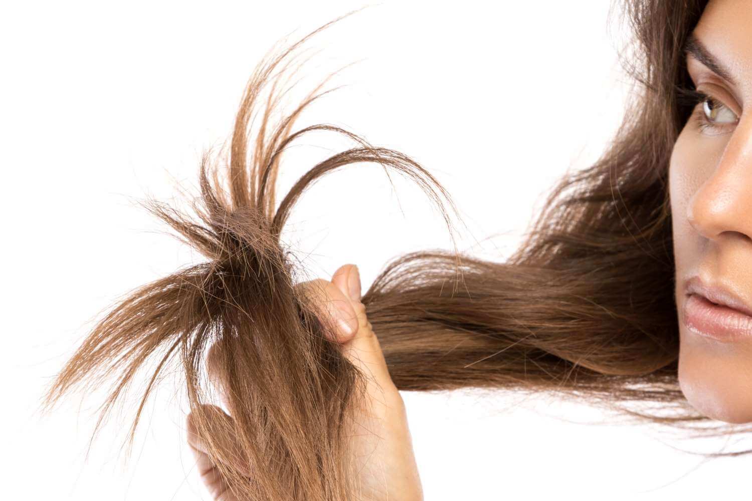 ▷ Los mejores tratamientos para el cabello quebradizo y seco | IML