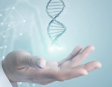 cómo influye la genética en el peso
